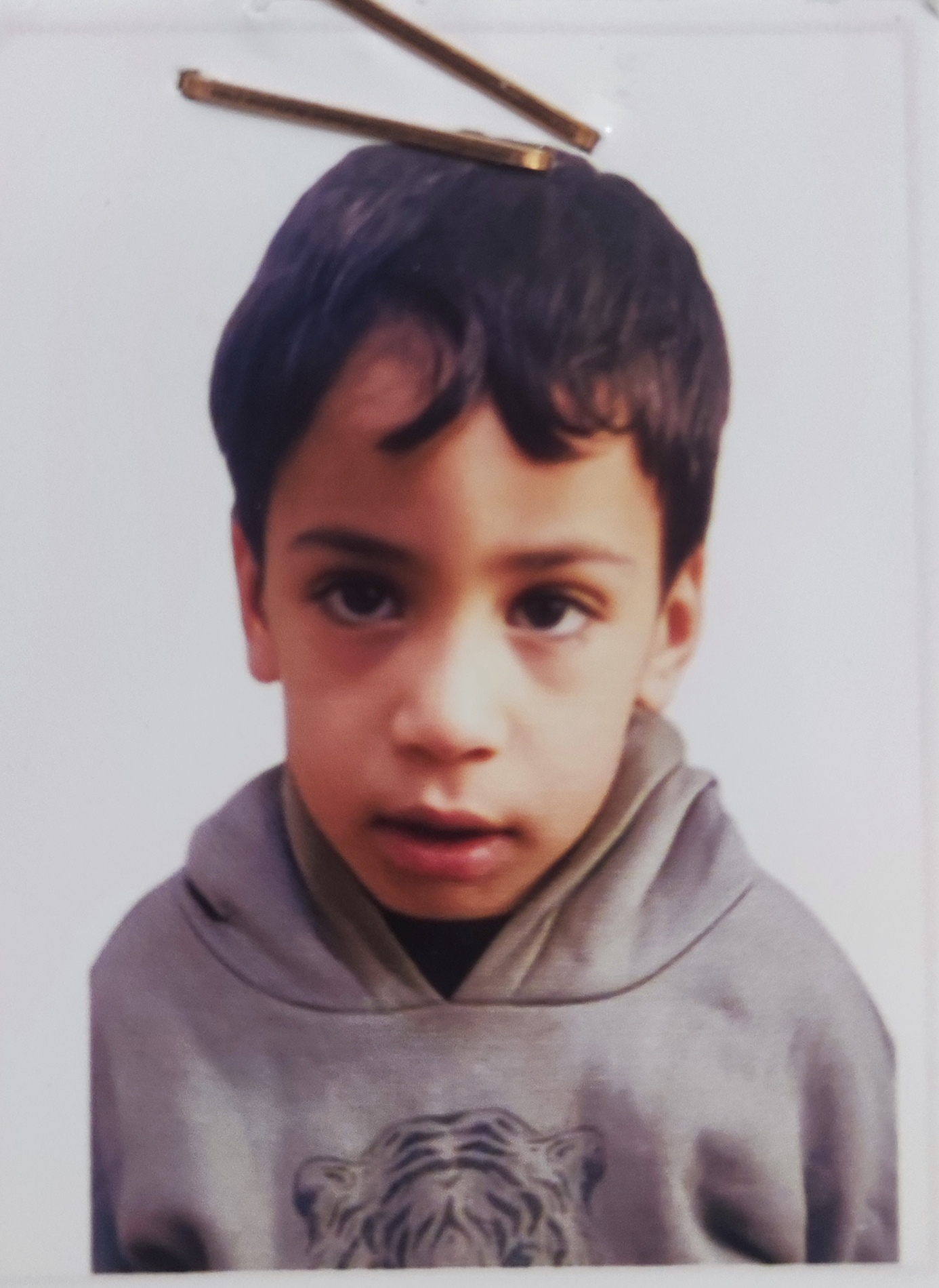 حسن حيدر محمد