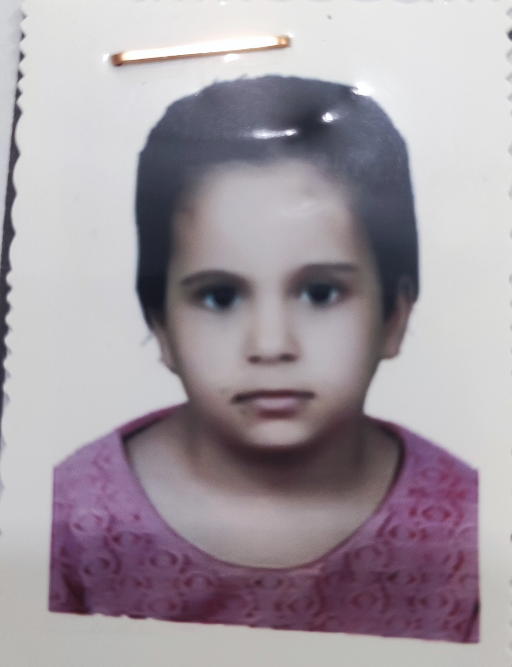 زينب يوسف نعيم